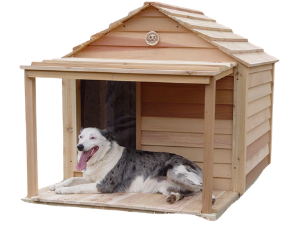 pet-shop-66