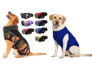 pet-shop-66