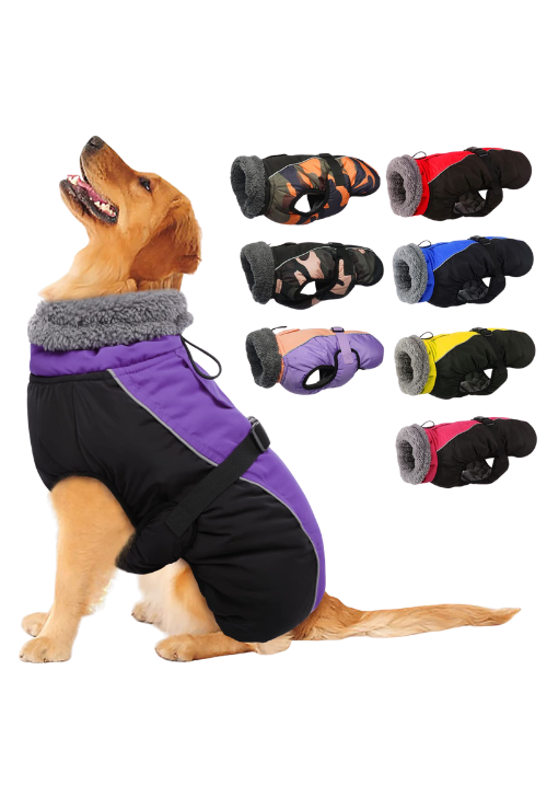 pet-shop-64